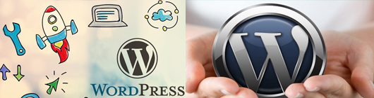 WordPress Essentials for Business Course